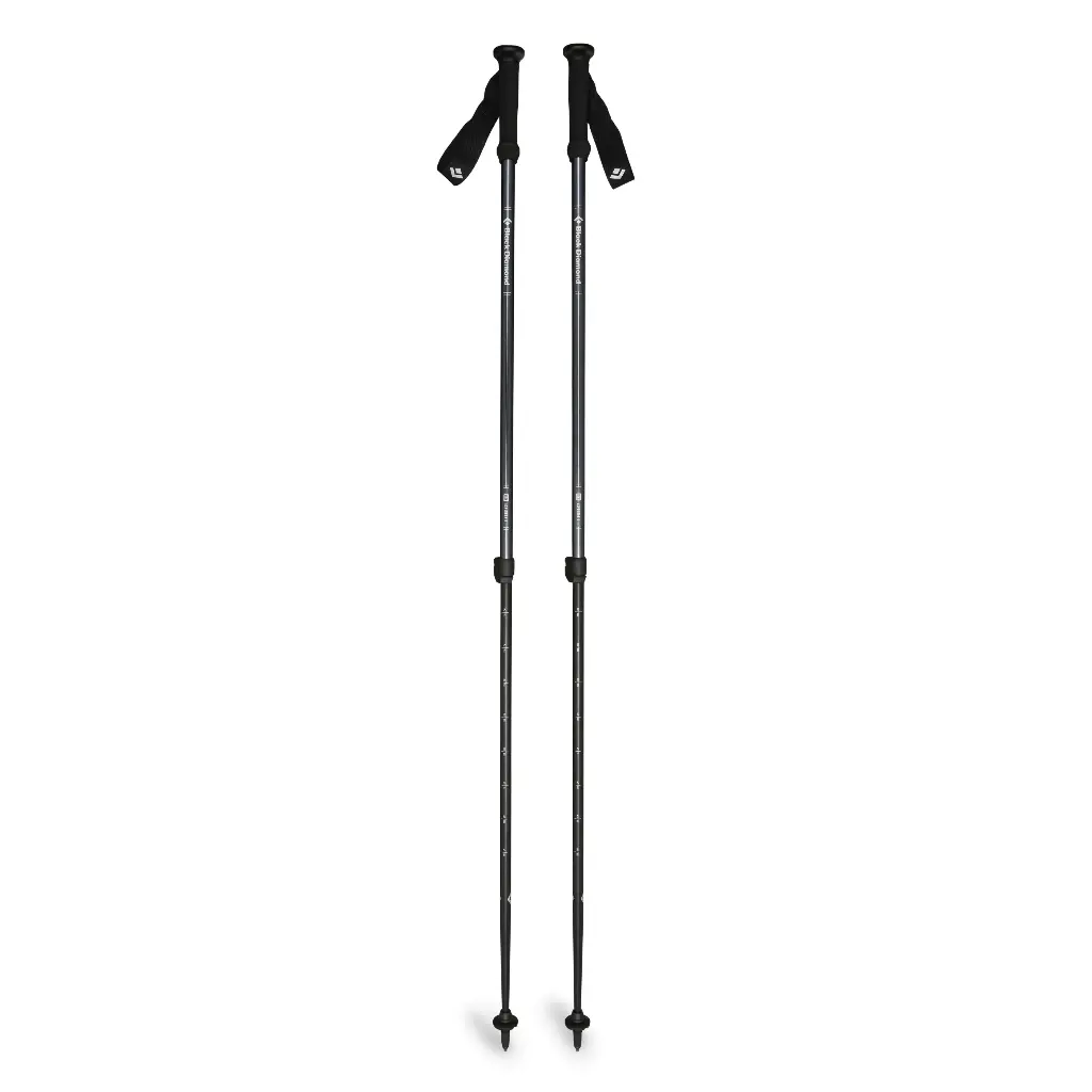 112550_4014_EXPLORER_2_TREKKING_POLES_Ink_Blue_02.webp
